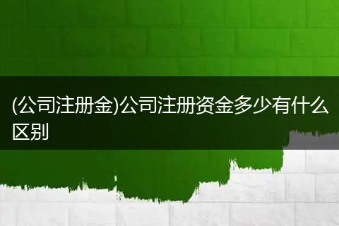 (公司注册金)公司注册资金多少有什么区别