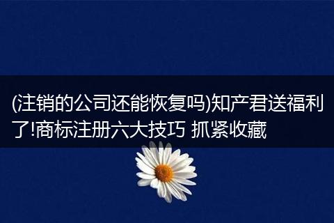 (注销的公司还能恢复吗)知产君送福利了!商标注册六大技巧 抓紧收藏