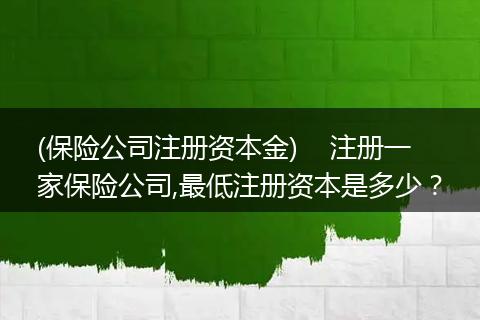 (保险公司注册资本金) 注册一家保险公司,最低注册资本是多少?