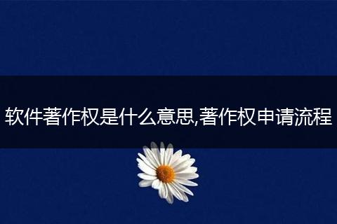 软件著作权是什么意思,著作权申请流程