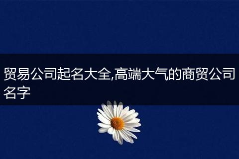 贸易公司起名大全,高端大气的商贸公司名字