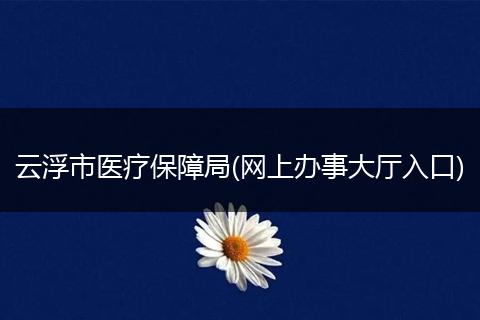 云浮市医疗保障局(网上办事大厅入口)