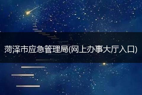 菏泽市应急管理局(网上办事大厅入口)