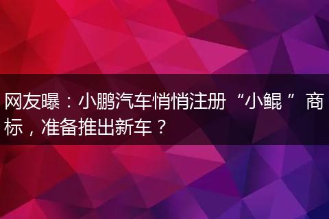 网友曝:小鹏汽车悄悄注册“小鲲 ”商标,准备推出新车?