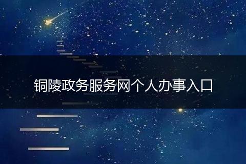 铜陵政务服务网个人办事入口