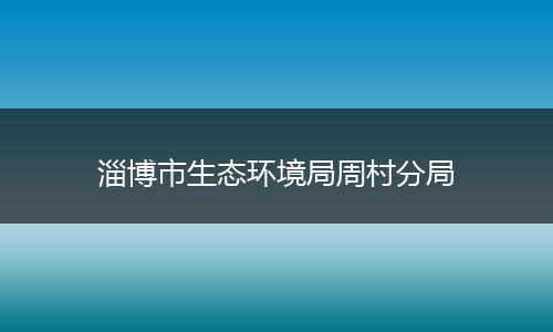 淄博市生态环境局周村分局