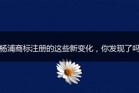 杨浦商标注册的这些新变化,你发现了吗