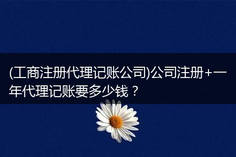 (工商注册代理记账公司)公司注册+一年代理记账要多少钱?
