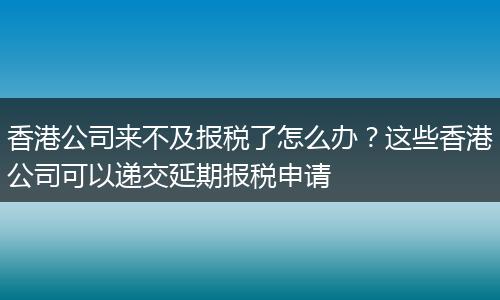 香港公司来不及报税了怎么办？这些香港公司可以递交延期报税申请