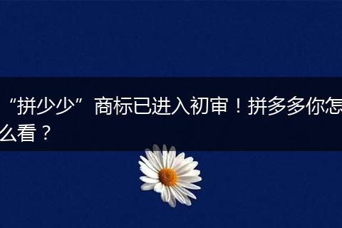 “拼少少”商标已进入初审！拼多多你怎么看？