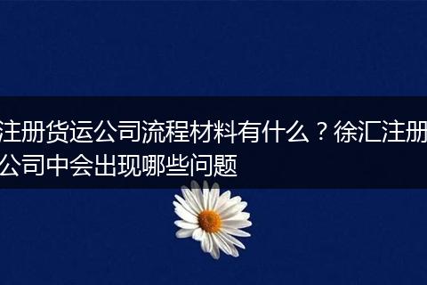 注册货运公司流程材料有什么？徐汇注册公司中会出现哪些问题