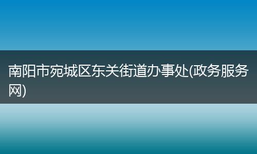 南阳市宛城区东关街道办事处(政务服务网)