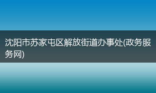沈阳市苏家屯区解放街道办事处(政务服务网)