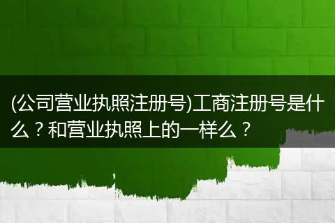 (公司营业执照注册号)工商注册号是什么？和营业执照上的一样么？