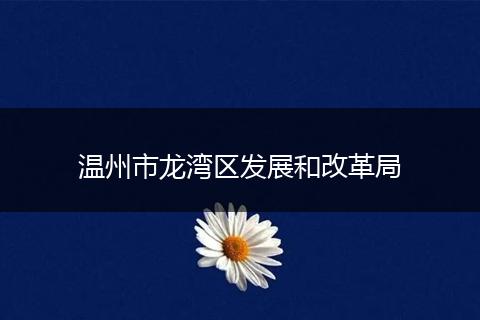 温州市龙湾区发展和改革局