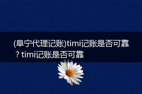 (阜宁代理记账)timi记账是否可靠？timi记账是否可靠