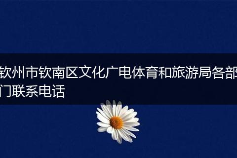 钦州市钦南区文化广电体育和旅游局各部门联系电话