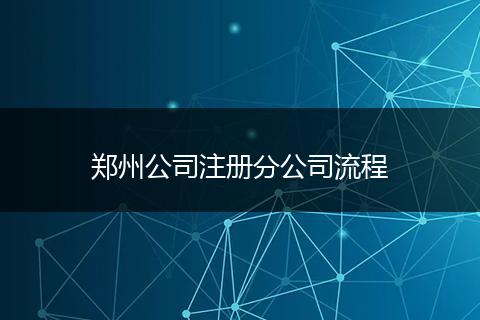 郑州公司注册分公司流程