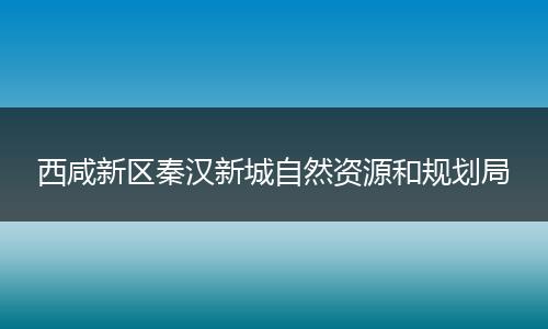 西咸新区秦汉新城自然资源和规划局