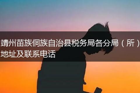 靖州苗族侗族自治县税务局各分局(所)地址及联系电话