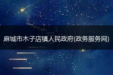 麻城市木子店镇人民政府(政务服务网)