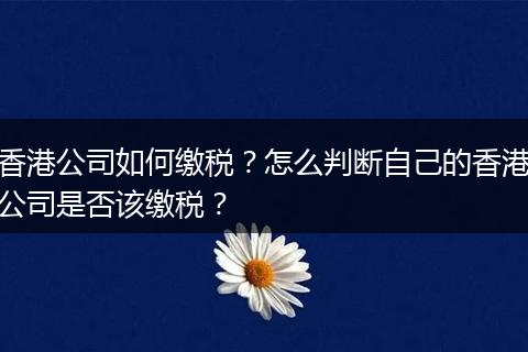 香港公司如何缴税？怎么判断自己的香港公司是否该缴税？