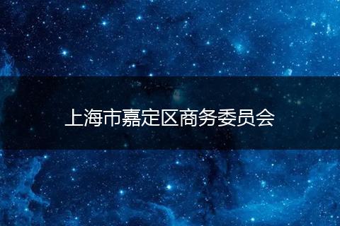 上海市嘉定区商务委员会