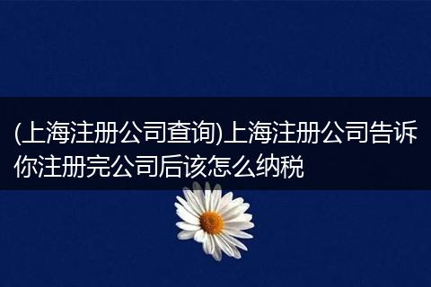 (上海注册公司查询)上海注册公司告诉你注册完公司后该怎么纳税