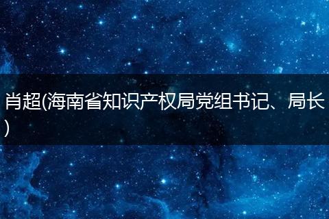 肖超(海南省知识产权局党组书记、局长)