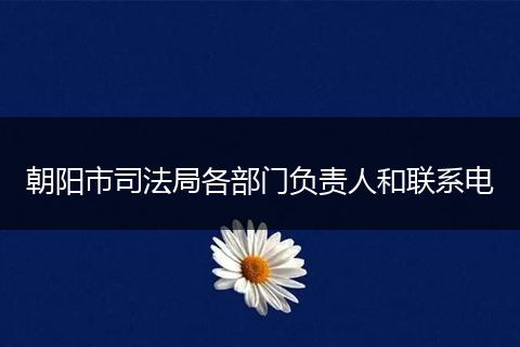朝阳市司法局各部门负责人和联系电