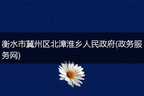 衡水市冀州区北漳淮乡人民政府(政务服务网)
