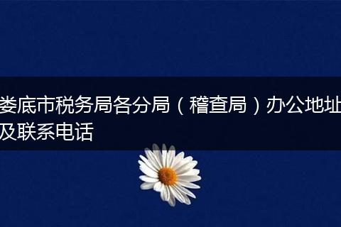 娄底市税务局各分局（稽查局）办公地址及联系电话