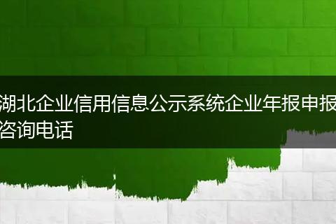 湖北企业信用信息公示系统企业年报申报咨询电话