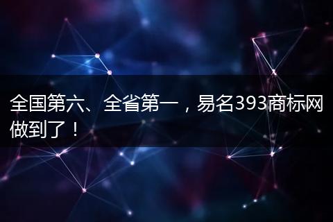全国第六、全省第一,易名393商标网做到了!
