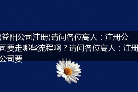 (益阳公司注册)请问各位高人:注册公司要走哪些流程啊?请问各位高人:注册公司要