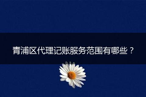 青浦区代理记账服务范围有哪些？