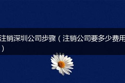 注销深圳公司步骤(注销公司要多少费用)