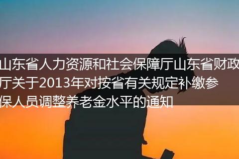 山东省人力资源和社会保障厅山东省财政厅关于2013年对按省有关规定补缴参保人员调整养老金水平的通知
