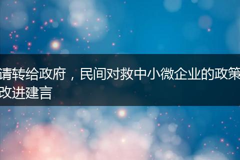 请转给政府，民间对救中小微企业的政策改进建言