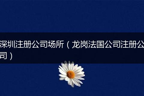 深圳注册公司场所(龙岗法国公司注册公司)