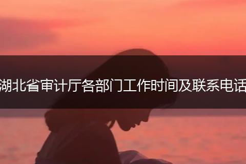 湖北省审计厅各部门工作时间及联系电话
