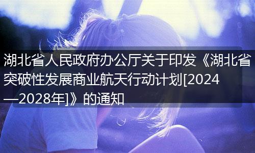 湖北省人民政府办公厅关于印发《湖北省突破性发展商业航天行动计划[2024—2028年]》的通知
