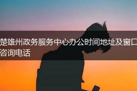 楚雄州政务服务中心办公时间地址及窗口咨询电话