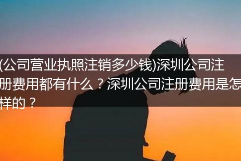 (公司营业执照注销多少钱)深圳公司注册费用都有什么？深圳公司注册费用是怎样的？