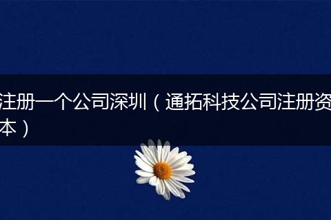 注册一个公司深圳(通拓科技公司注册资本)