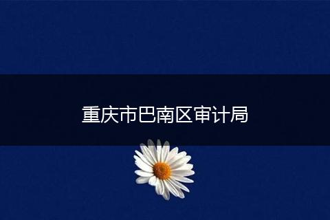 重庆市巴南区审计局