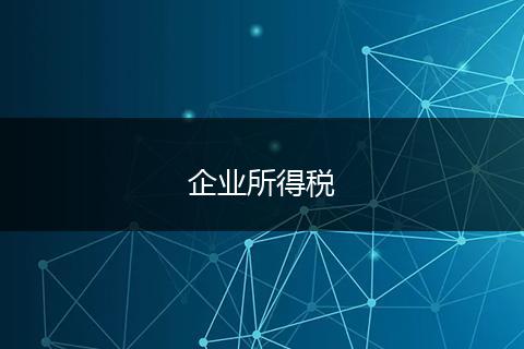 企业所得税
