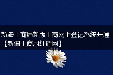 新疆工商局新版工商网上登记系统开通-【新疆工商局红盾网】