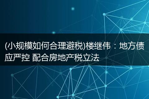 (小规模如何合理避税)楼继伟：地方债应严控 配合房地产税立法