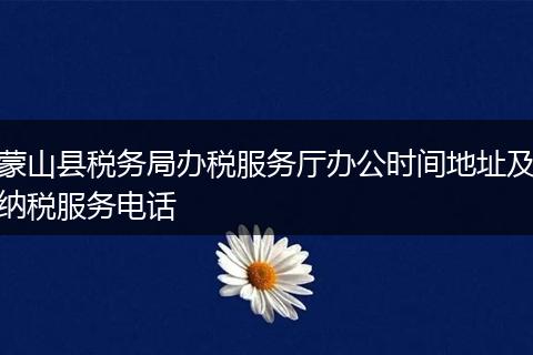 蒙山县税务局办税服务厅办公时间地址及纳税服务电话